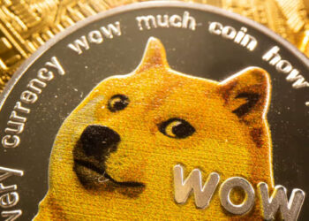 Barınaktan kurtarılmasaydı 2010'da 'uyutulacaktı': Dogecoin'in simgesi Kabosu 18 yaşında öldü