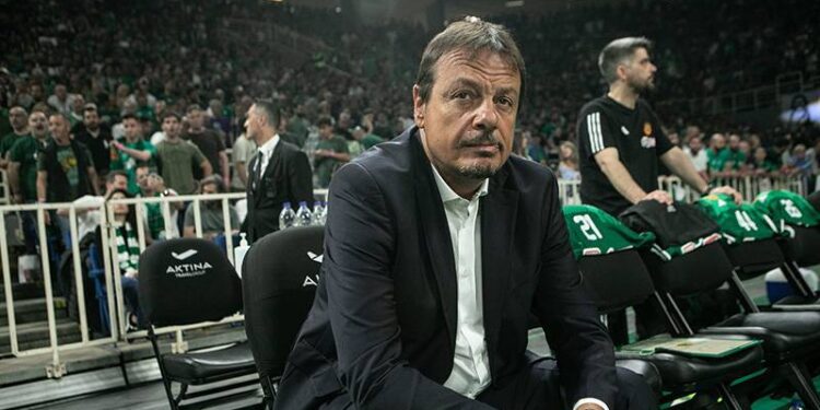 Benim olmam önemli değil, kazanan takımı tebrik edebilirsiniz, korkmanıza gerek yok