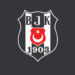 Beşiktaş Safi Çimento, Hentbol Erkekler Süper Lig'de şampiyon oldu.
