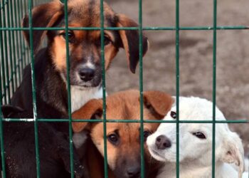 Bu konuda mutlaka adım atacağız