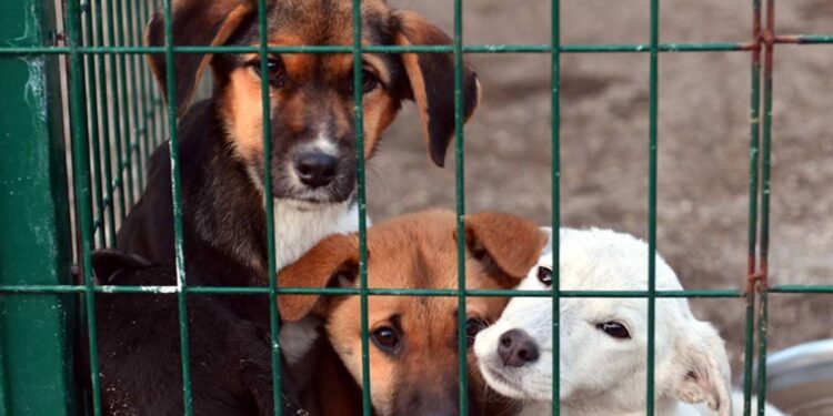 Bu konuda mutlaka adım atacağız