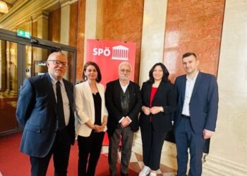 DEM Parti heyeti Avusturya’da