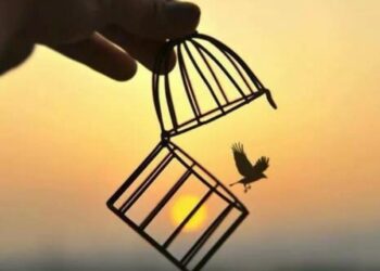 Hüsnü Yusuf Turabiç yazdı.. Özel siyaset: ‘Hata yapmam…’