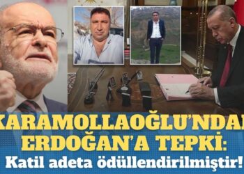 Karamollaoğlu’ndan Erdoğan’a tepki:  Katil adeta ödüllendirilmiştir!
