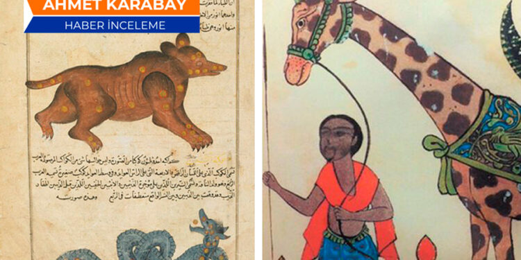 Müslümanların ‘evrim’ korkusu 