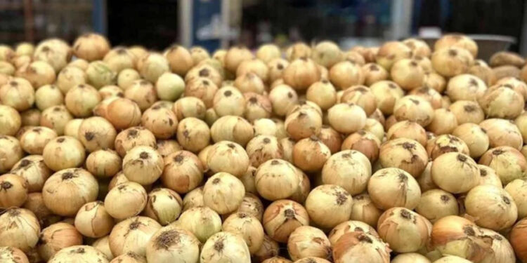 Nisan ayında zam şampiyonu kuru soğan oldu: Fiyatı yüzde 73,8 arttı