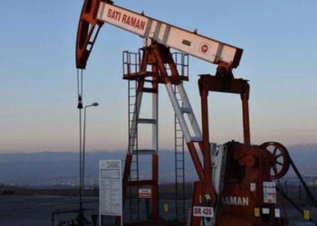TPAO'nun 5 şehirdeki bazı sahaları için kamulaştırma kararı