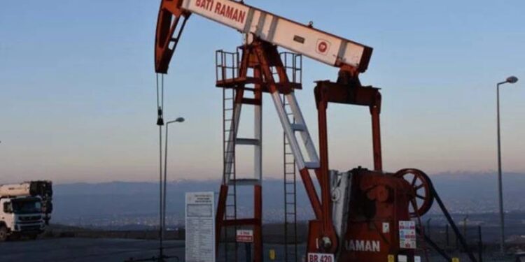 TPAO'nun 5 şehirdeki bazı sahaları için kamulaştırma kararı