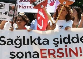 Üç veteriner, kovan ve arı sayımı sırasında saldırıya uğradı