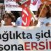 Üç veteriner, kovan ve arı sayımı sırasında saldırıya uğradı