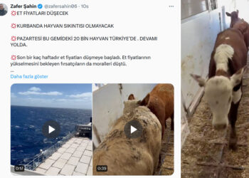 Yandaş gazeteci ‘müjde’ gibi duyurdu: Hayvan ithalatı devam ediyor, et fiyatları düşecek!