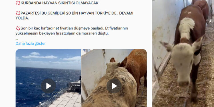 Yandaş gazeteci ‘müjde’ gibi duyurdu: Hayvan ithalatı devam ediyor, et fiyatları düşecek!
