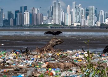 Artık araştırmayla da kesinleşti: Plastik kirliliğine en çok neden olan iki marka Coca Cola ve PepsiCo