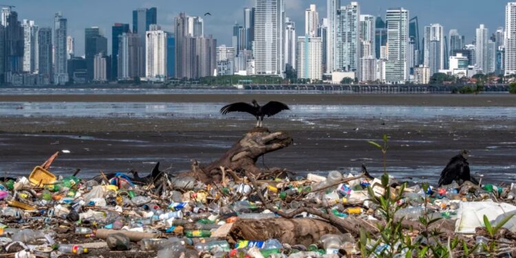 Artık araştırmayla da kesinleşti: Plastik kirliliğine en çok neden olan iki marka Coca Cola ve PepsiCo