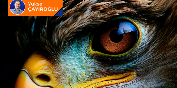 ‘Nedensellik’ hakkında Kur’an ne diyor? (9)