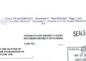 Eylem Tok ve oğluyla ilgili dilekçede “kaçma olasılığına” dikkat çekildi, yargıç gözaltının devam edip etmeyeceğine karar verecek