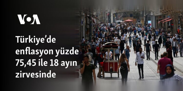 Türkiye’de enflasyon yüzde 75,45 ile 18 ayın zirvesinde
