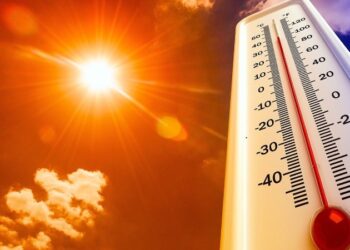 2024, 2023'ün ardından en yüksek sıcaklığın ölçüldüğü ikinci sene olabilir