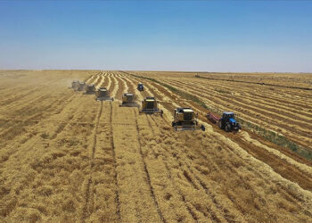 2024 hububat alım fiyatları belli oldu