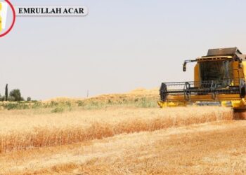 Çiftçi taban fiyata tepkili: Gelir masrafa gidiyor