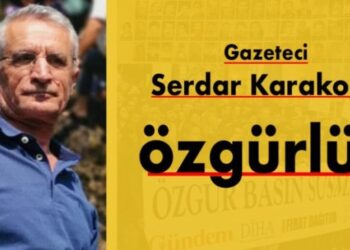 Hollanda’da tutuklanan gazeteci Karakoç için çağrı