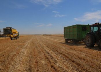 ‘Hububat fiyatları revize edilsin’ talebi