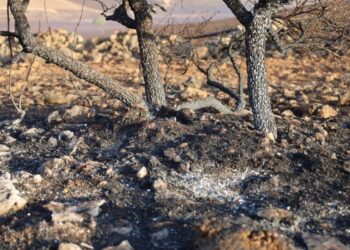 Son durum: Yangın söndü, soğutma çalışmaları sürüyor