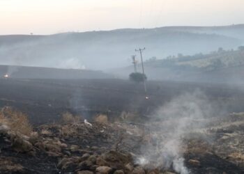 Amed Barosu’ndan suç duyurusu