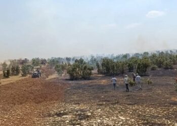 Amed ve Şirnex Barosu’ndan ırkçı paylaşımlara suç duyurusu