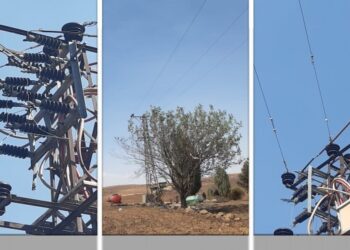 Elektrik Mühendisleri Odası: Anız yok, önlem alınmadı