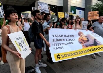 Sokak hayvanları için nöbet eylemi 13’üncü gününde