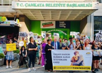 Hayvanlar için eylem 17’nci gününde