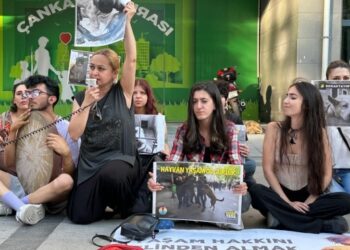 Hayvanlar için 27 gündür eylemdeler
