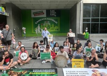 ‘İktidar hayvanları öldürme yasasını kabul ettirmeye çalışıyor’
