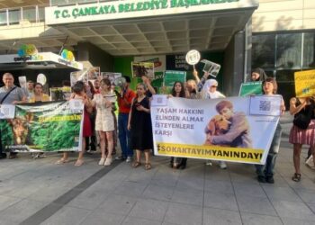 Hayvanlar için eylem 31’inci gününde