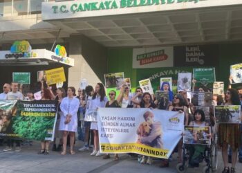 Veterinerler: Yaşatmak için yemin ettik, korumak için birlik oluyoruz