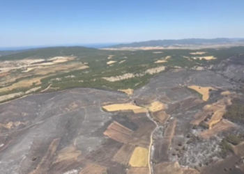 Çanakkale’deki orman yangını kontrol altına alındı