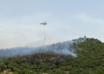 Ege’de orman yangınları: Uçak Bafa Gölüne düştü