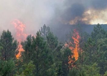 Ege yanıyor: Manisa’da 145 ev boşaltıldı