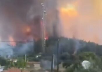 İzmir’de bir günde 18 yangın çıktı, 11’i söndürüldü
