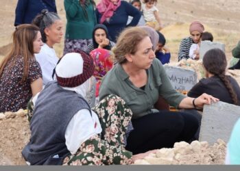 Aydeniz’den vali ve AKP’lilere: Biz halklayız, onlar koruma ordularıyla gezsin