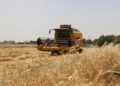 Hasat başladı, çiftçi buğday taban fiyatının açıklanmasını bekliyor