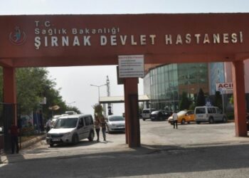 Temel ve Sala toprağa verildi