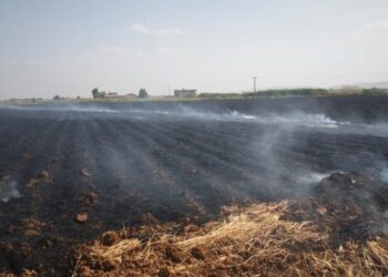 Verimli topraklarda tarım riskte