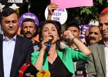 Bayındır: Türkiye’deki halklar kayyıma geçit vermemeli   Hatimoğulları: Direnişi büyütelim kayyımları gönderelim