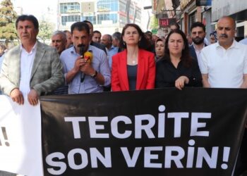 Wan ve Adana’da ‘Özgürlüğe ses ver’ eylemi