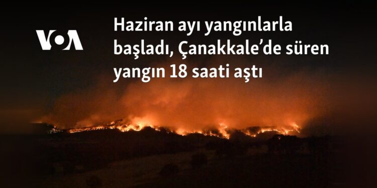 Haziran ayı yangınlarla başladı, Çanakkale’de süren yangın 18 saati aştı