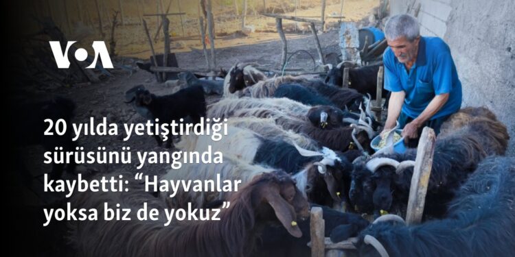 20 yılda yetiştirdiği sürüsünü yangında kaybetti: “Hayvanlar yoksa biz de yokuz”