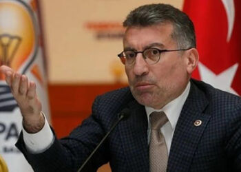 AKP’den sokak köpekleri açıklaması: Onları ‘uyutarak’ normalleştirmemiz gerekiyor