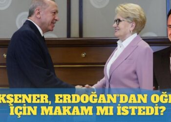 Akşener, Erdoğan’dan oğlu için makam mı istedi?